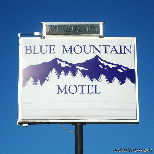 Blue Mountain Motel Okanogan Dış mekan fotoğraf